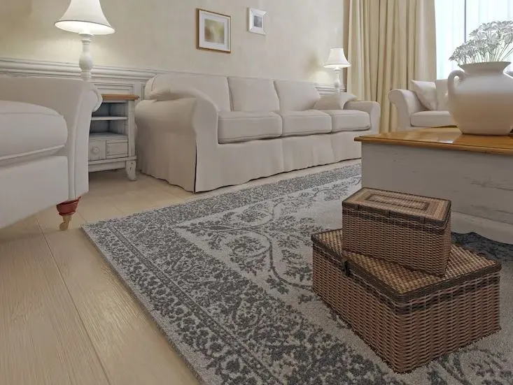 living room rug